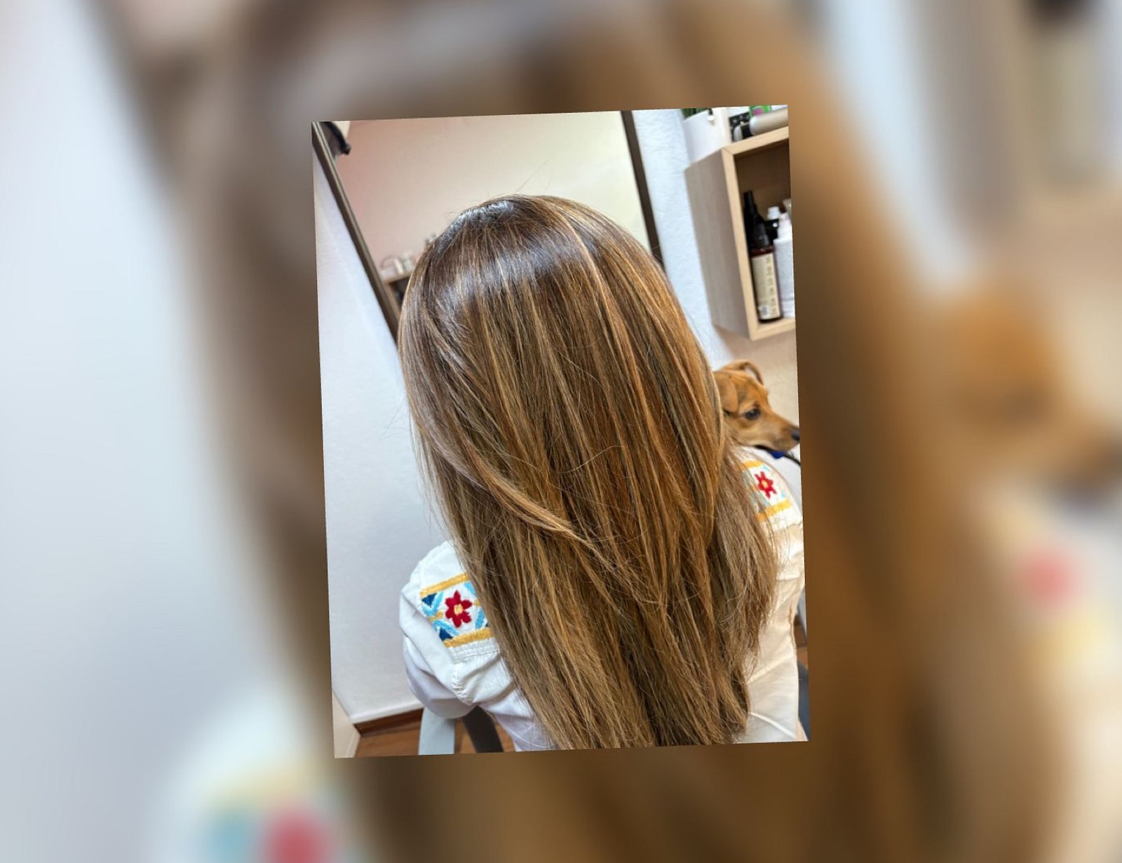Aelle Coiffure